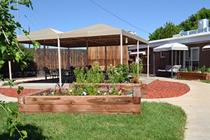Brookshire back patio and shaded seating area