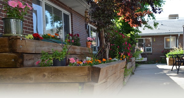 Brookshire back patio and flower beds